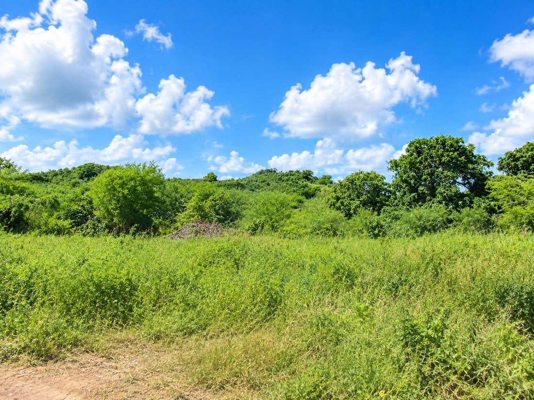 Land in Pozo Hondo, Guayama, Puerto Rico 2 - 19007796