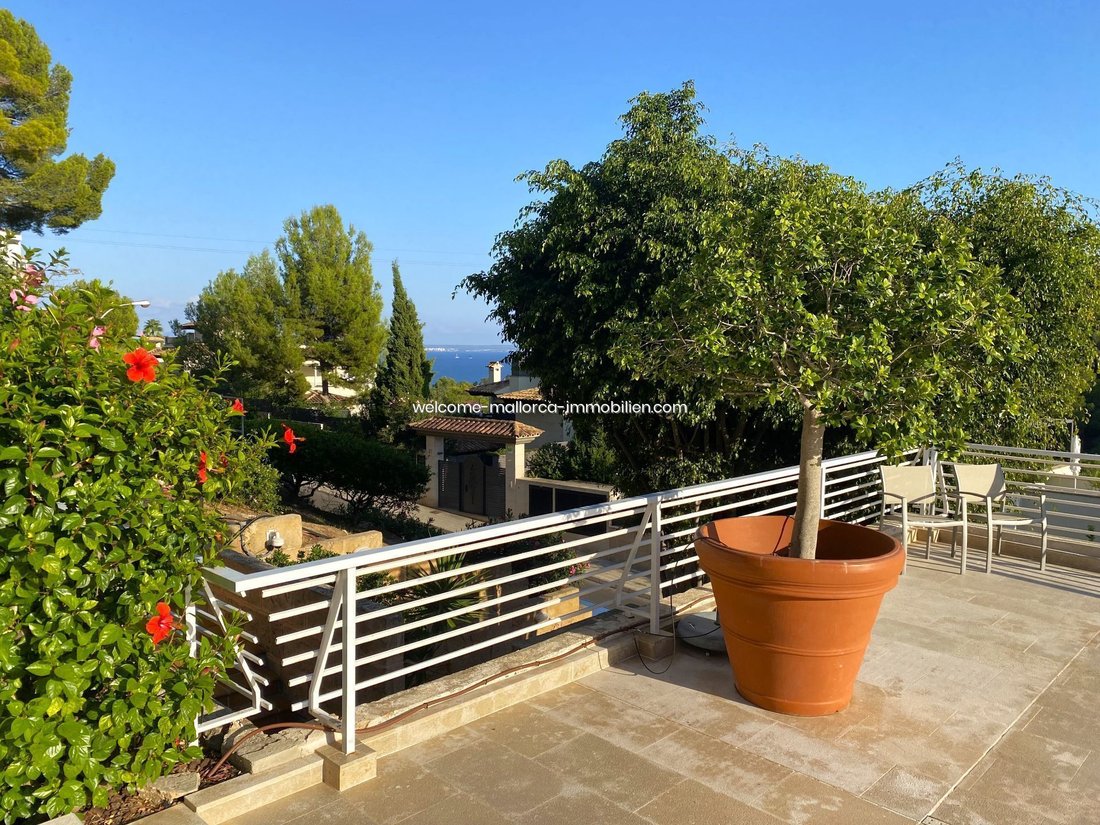 Apartment in Cas Catala, Calvia, Balearic Islands 1 - 19004421