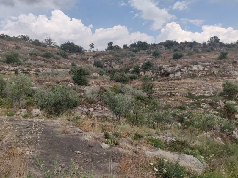 Land in Lefktro, Peloponnese, Western Greece and the Ionian, Greece 5 - 19006729