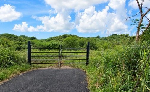Land in Pozo Hondo, Guayama, Puerto Rico 1