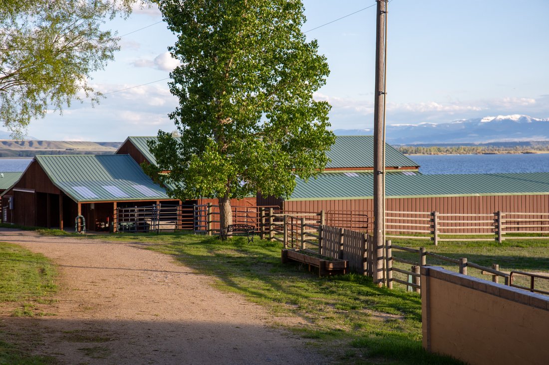 Azienda agricola a McAllister, Montana, Stati Uniti 4 - 16598023