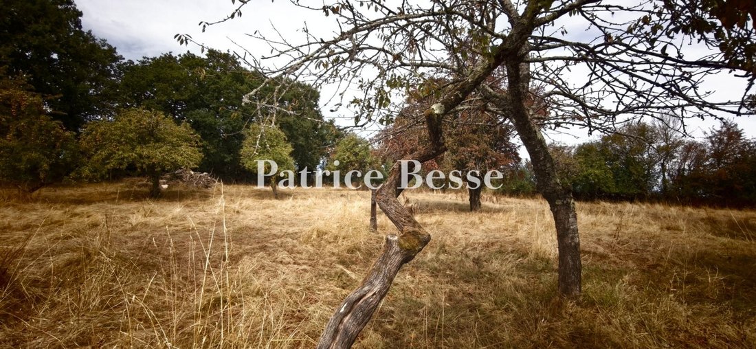 House in Pillerie-Bootz, Laval, Pays de la Loire 4 - 19004834