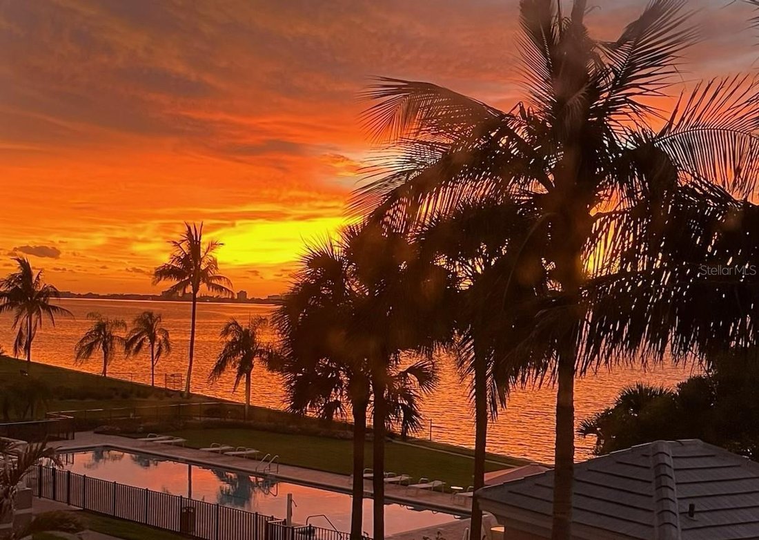 Condo in St. Petersburg, Florida, United States 2 - 19003887