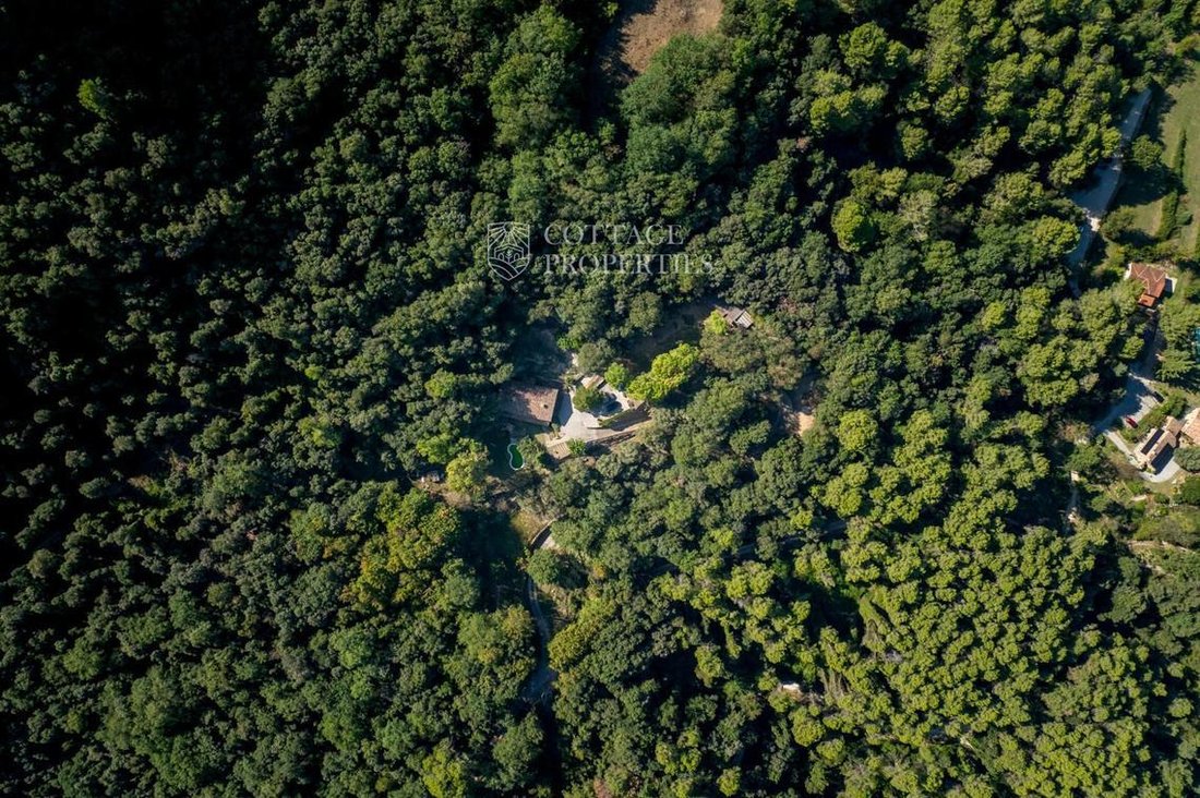 Finca in Sant Miquel de Campmajor, Catalonia, Spain 2 - 18352360