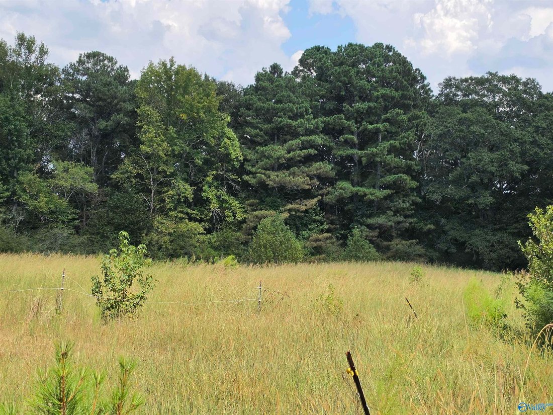 Farm Ranch in Boaz, Alabama, United States 2 - 19003000