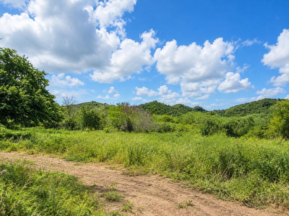 Land in Pozo Hondo, Guayama, Puerto Rico 4 - 19007796