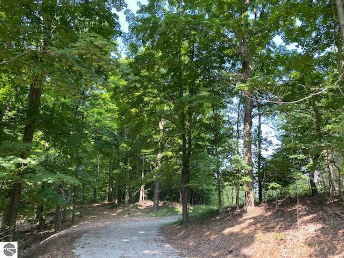 Land in Cedar, Michigan, United States 5 - 19006159