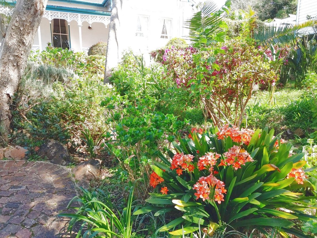 House in Knysna Central, Western Cape, South Africa 5 - 19002758