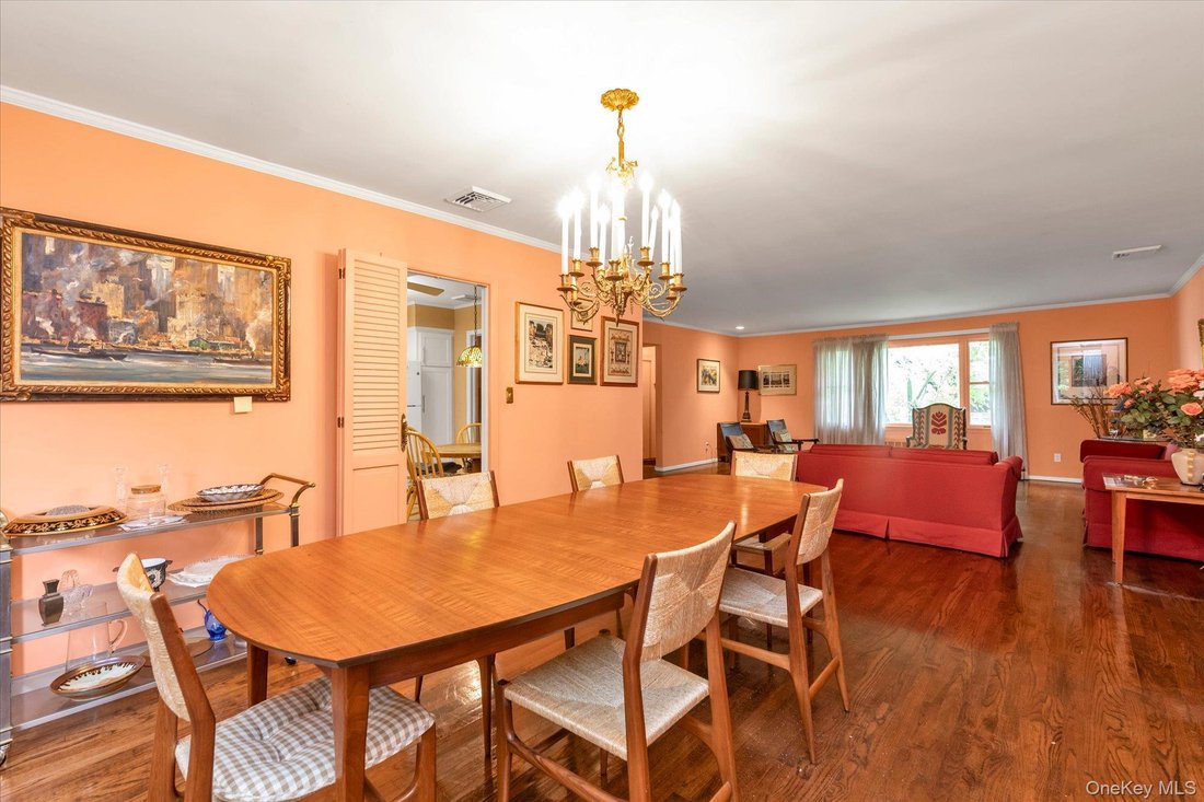 House in New Hyde Park, New York, United States 5 - 19004217