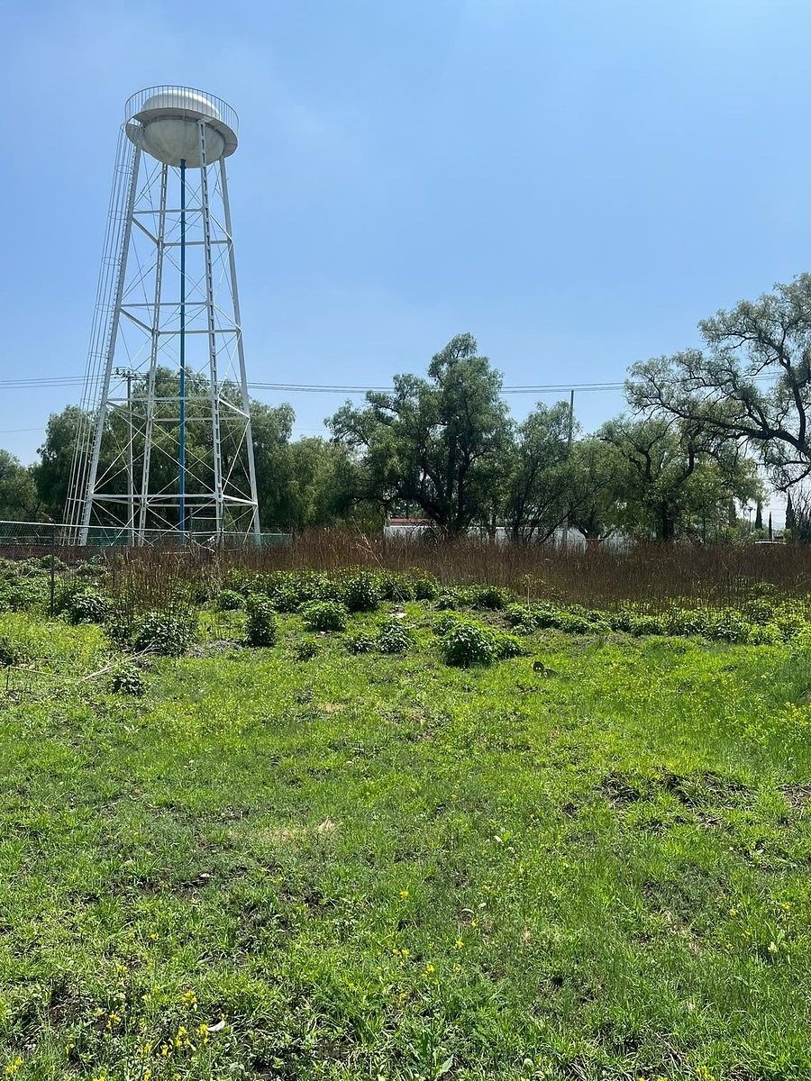 Land in Tecámac de Felipe Villanueva, Bundesstaat Mexiko, Mexiko 3 - 19005225