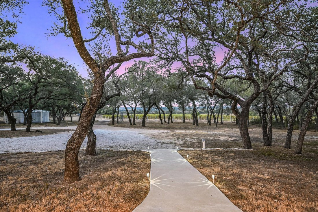 House in Johnson City, Texas, United States 3 - 19006119