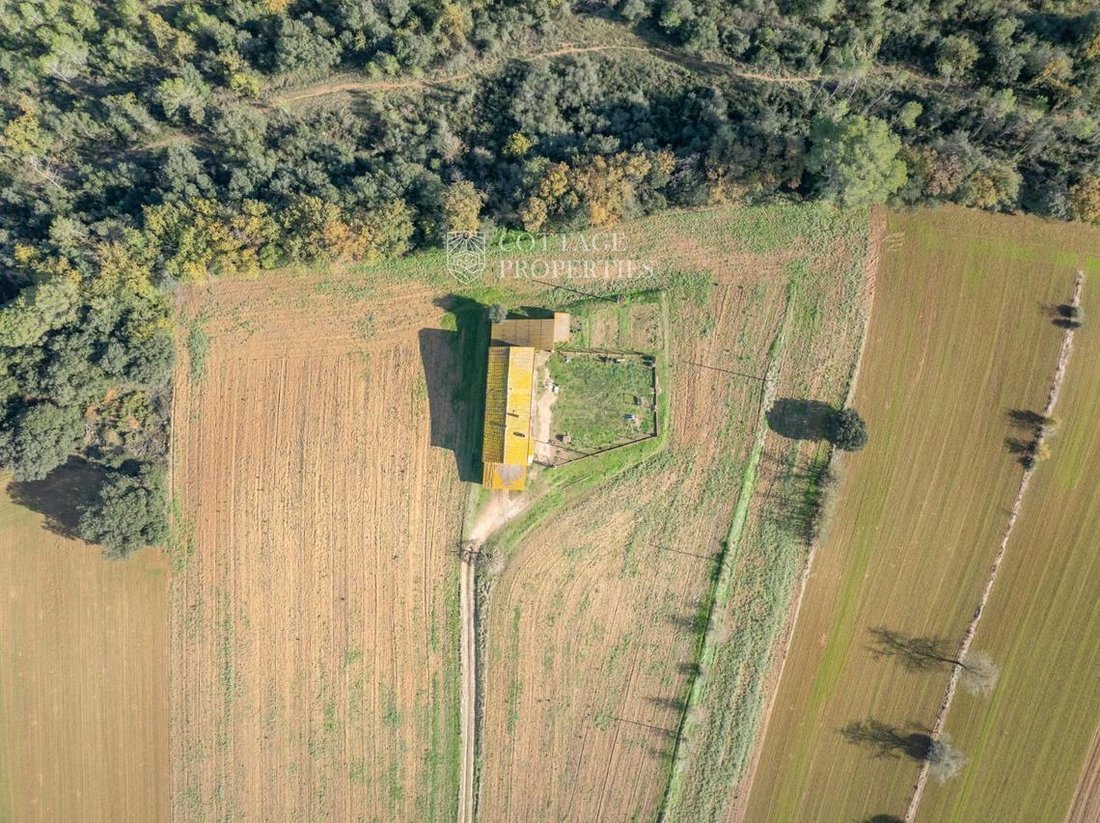 Finca à Viladasens, Catalogne, Espagne 3 - 18352848