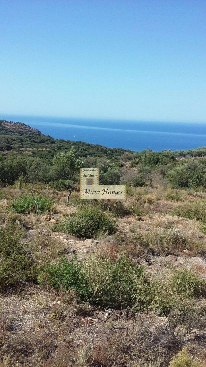 Land in Lefktro, Peloponnese, Western Greece and the Ionian, Greece 1 - 19006673