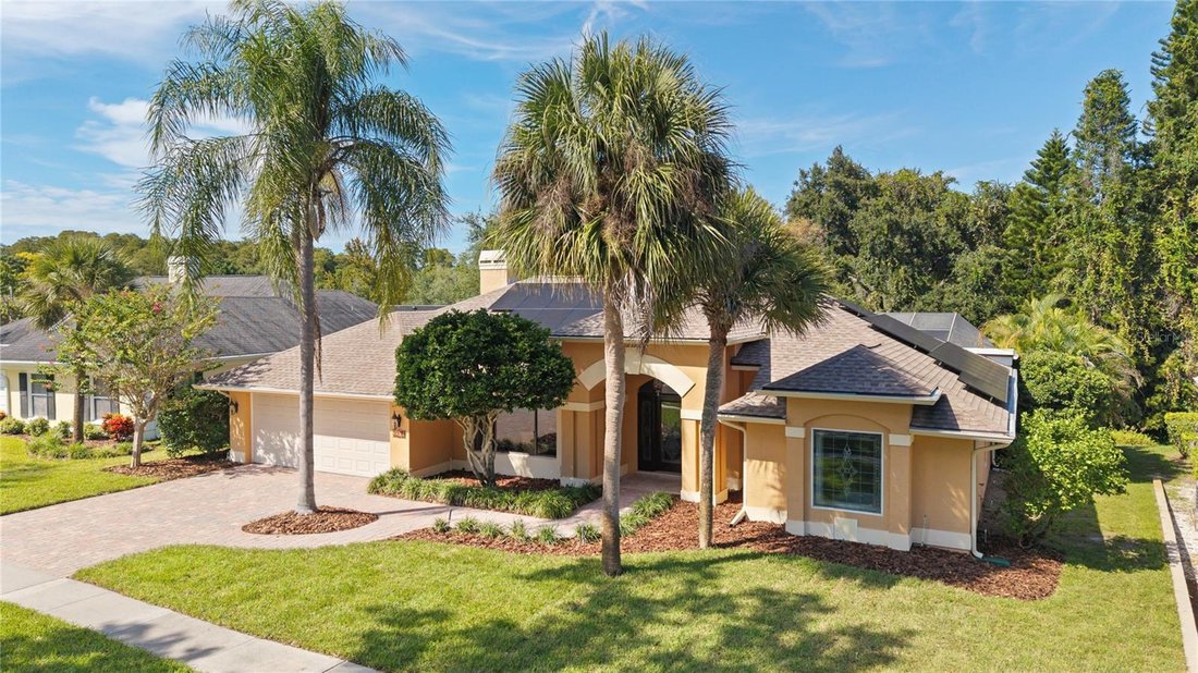 House in Palm Harbor, Florida, United States 2 - 19003429