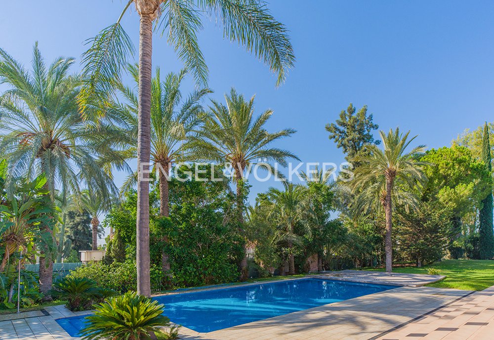 Villa in Elx / Elche, Valencian Community, Spain 5 - 19008316
