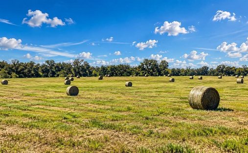Land in South Brooksville, Florida, United States 1