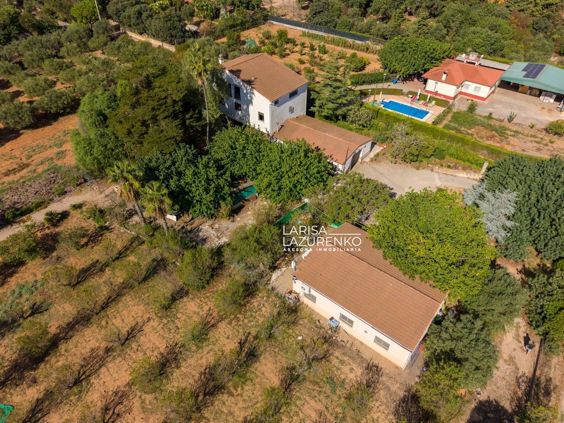 Farm Ranch in Vila-seca, Catalonia, Spain 3 - 18806175