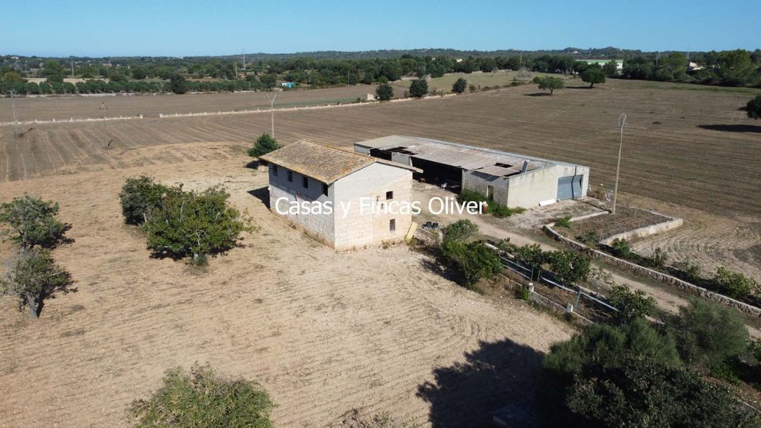 Maisons de campagne à Llubí, Îles Baléares, Espagne 3 - 18350382