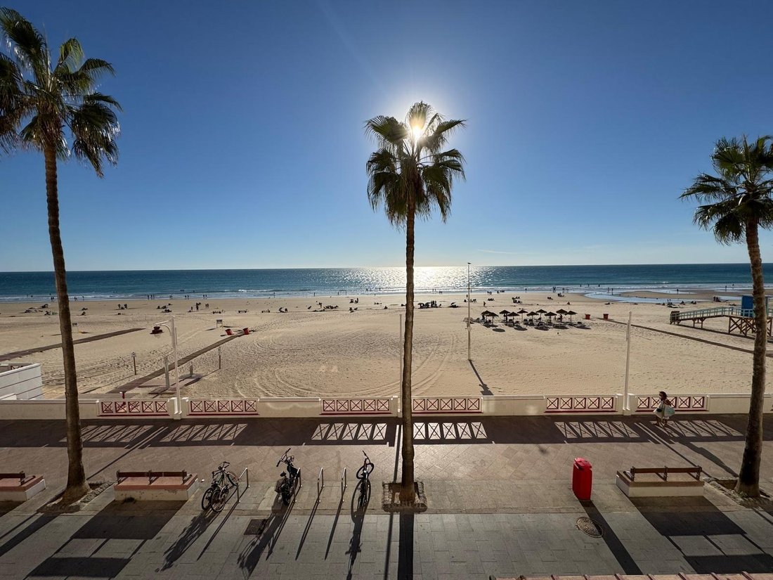 Apartment in Cadiz, Andalusia, Spain 1 - 19008528