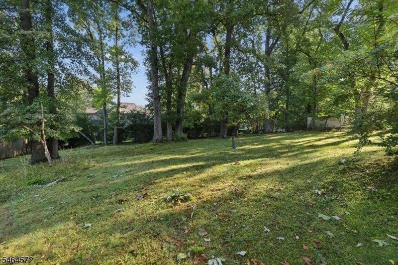 House in Essex Fells, New Jersey, United States 3 - 19009950