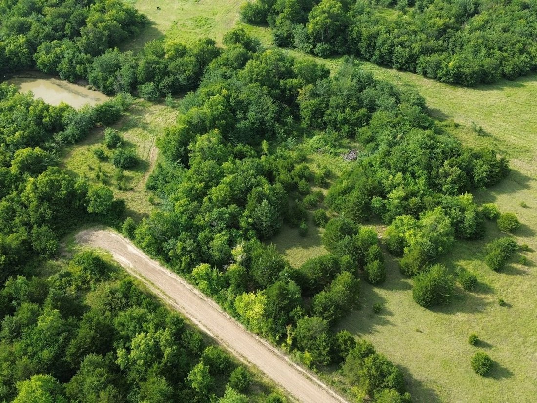 Land in Campbell, Texas, United States 3 - 19013969