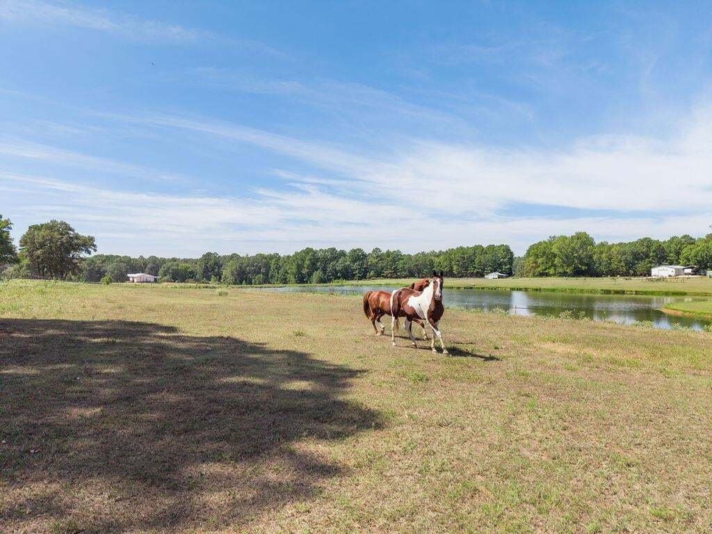 Casa a Troup, Texas, Stati Uniti 5 - 19008825