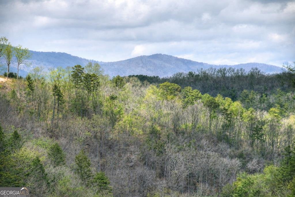 House in Ellijay, Georgia, United States 3 - 19013555