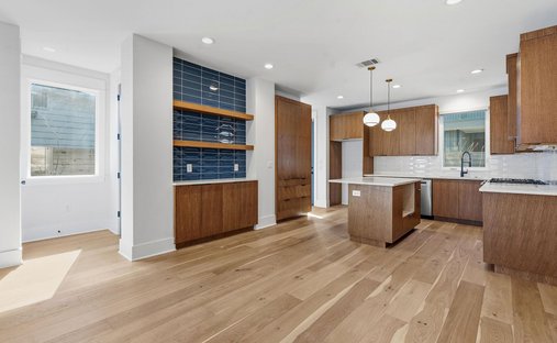 House in Austin, Texas, United States 1