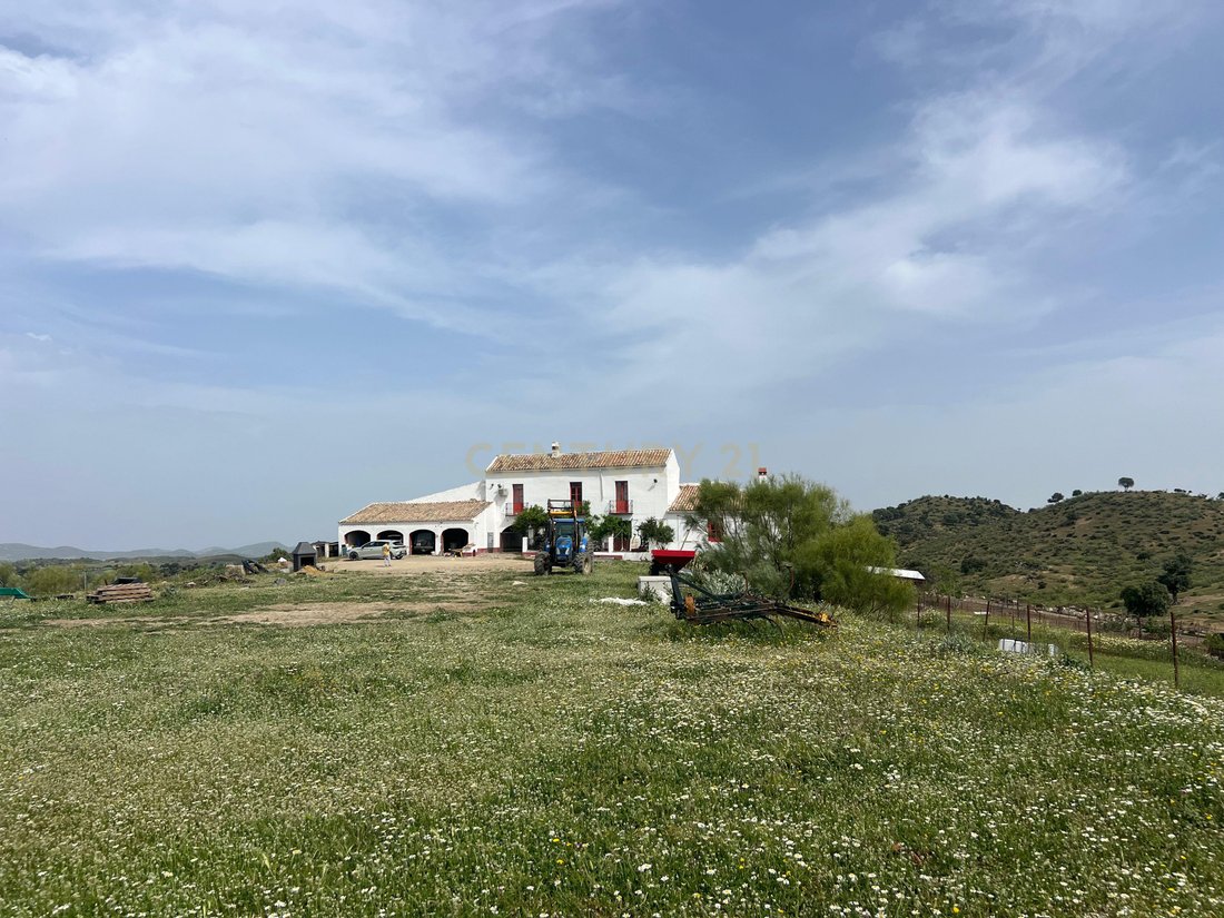 Farm Ranch in Olvera, Andalusia, Spain 1 - 19015128