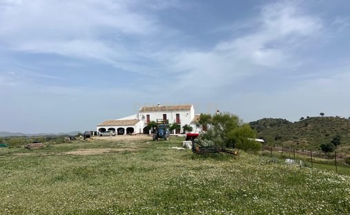 Farm Ranch in Olvera, Andalusia, Spain 1