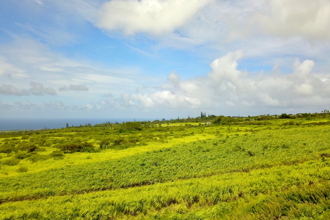 House in Paia, Hawaii, United States 4 - 19011707