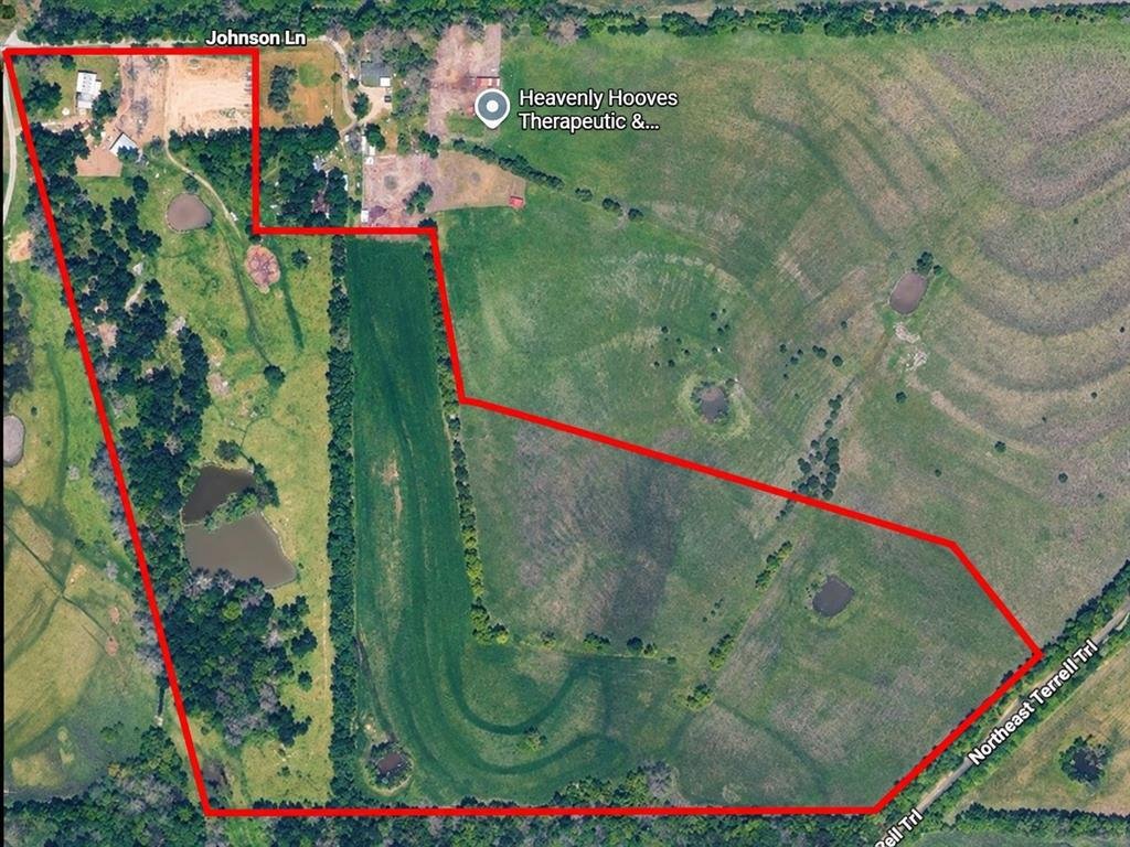Farm Ranch in Farmersville, Texas, United States 5 - 19014369