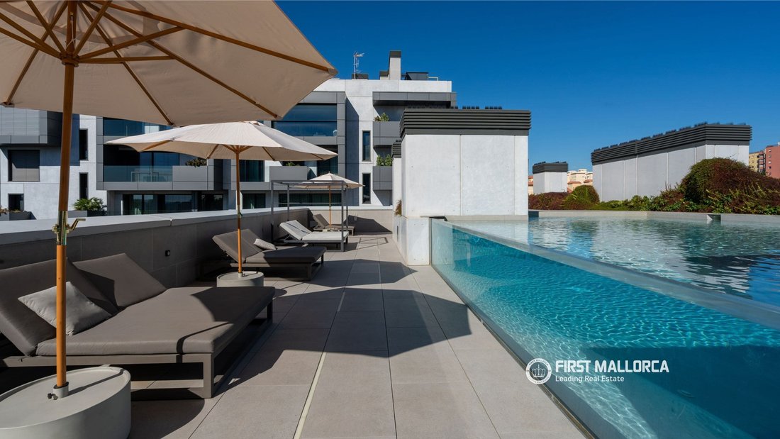 Apartment in Nou Llevant, Palma, Balearic Islands 2 - 13630895