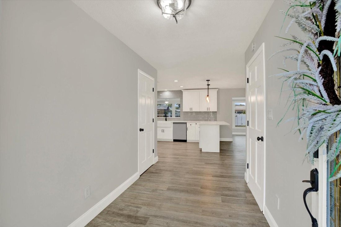 House in Seminole, Florida, United States 5 - 19009447