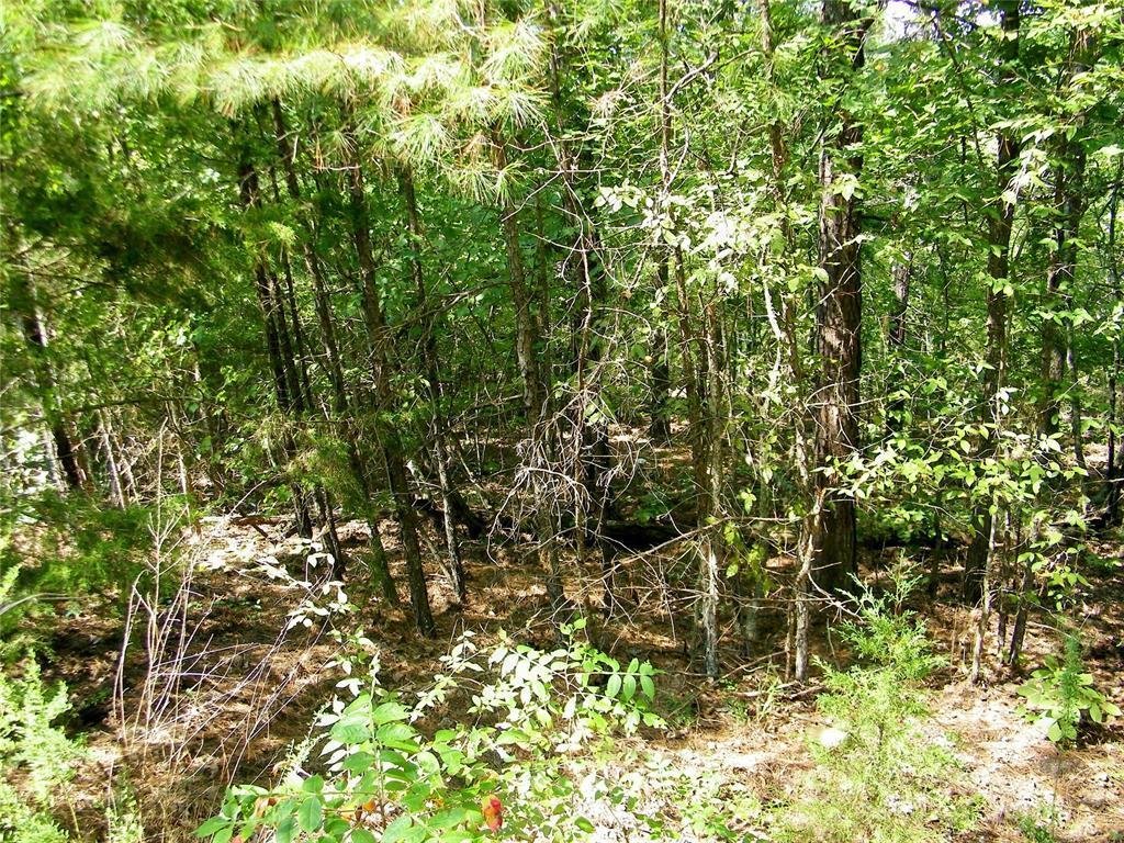 Terreno en Smithville, Oklahoma, Estados Unidos 2 - 19011738