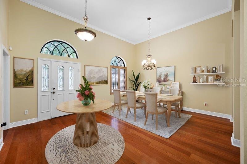 House in Safety Harbor, Florida, United States 5 - 19009483