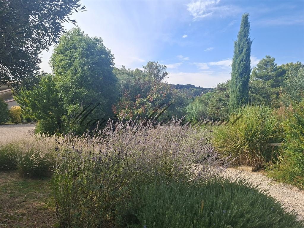 Estate in La Balance-Palais des Papes, Avignon, France 4 - 19010674