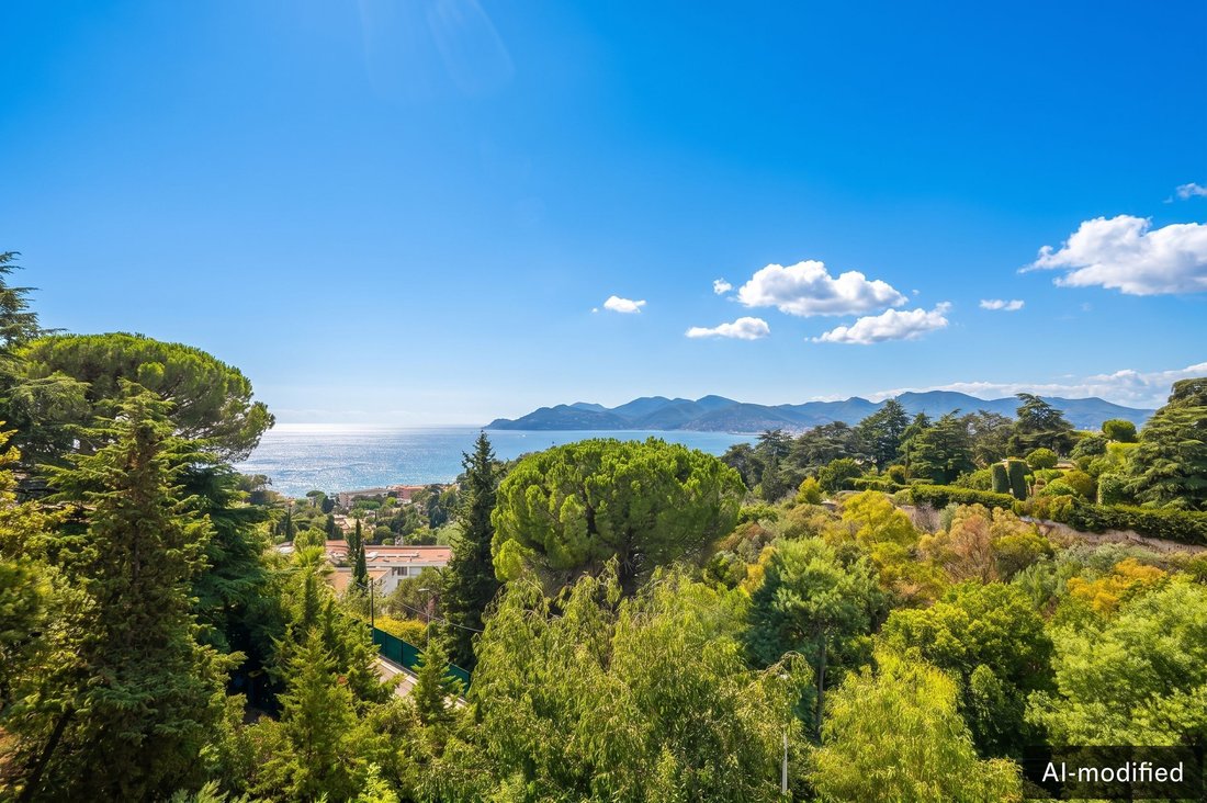 Apartment in Cannes, Provence-Alpes-Côte d'Azur, France 2 - 19010895