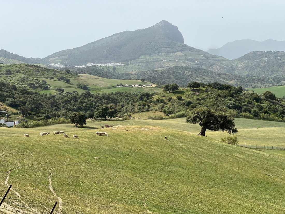 Farm Ranch in Olvera, Andalusia, Spain 2 - 19015128