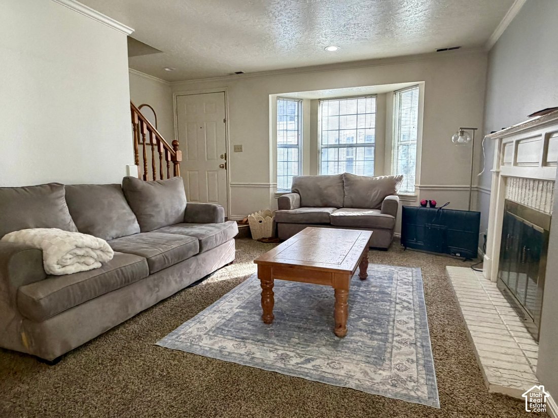Provo, Utah, United States 3 - 19011593