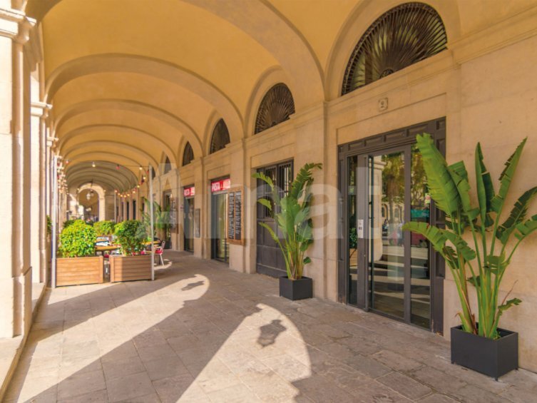 Apartment in Ciutat Vella, Barcelona, Spain 3 - 19010284