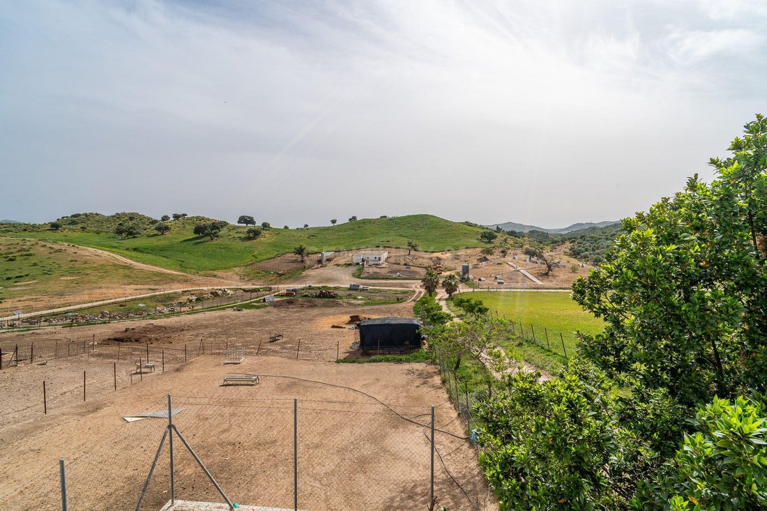 Farm Ranch in Olvera, Andalusia, Spain 5 - 19015128