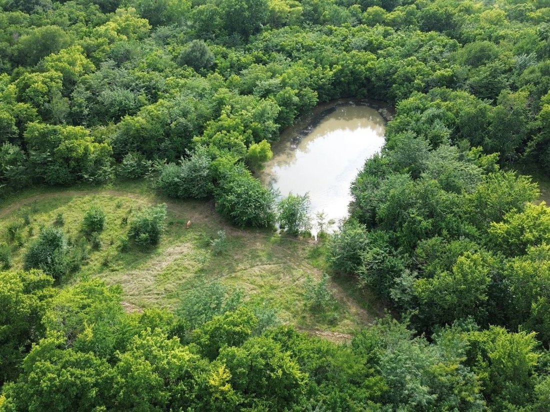 Land in Campbell, Texas, United States 2 - 19013969