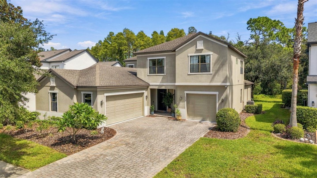 House in Land O' Lakes, Florida, United States 1 - 19009489