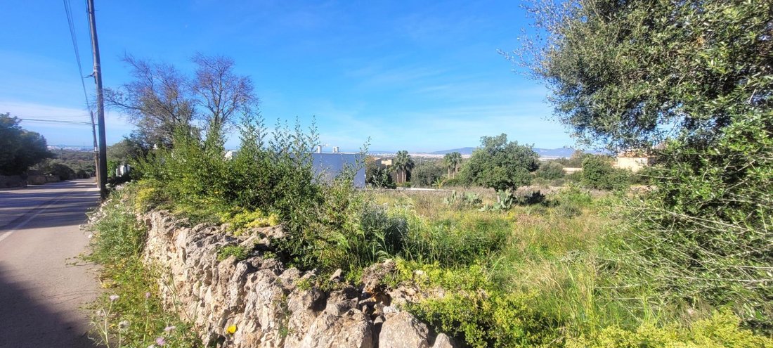 Land in Marratxi, Balearic Islands, Spain 2 - 19013152