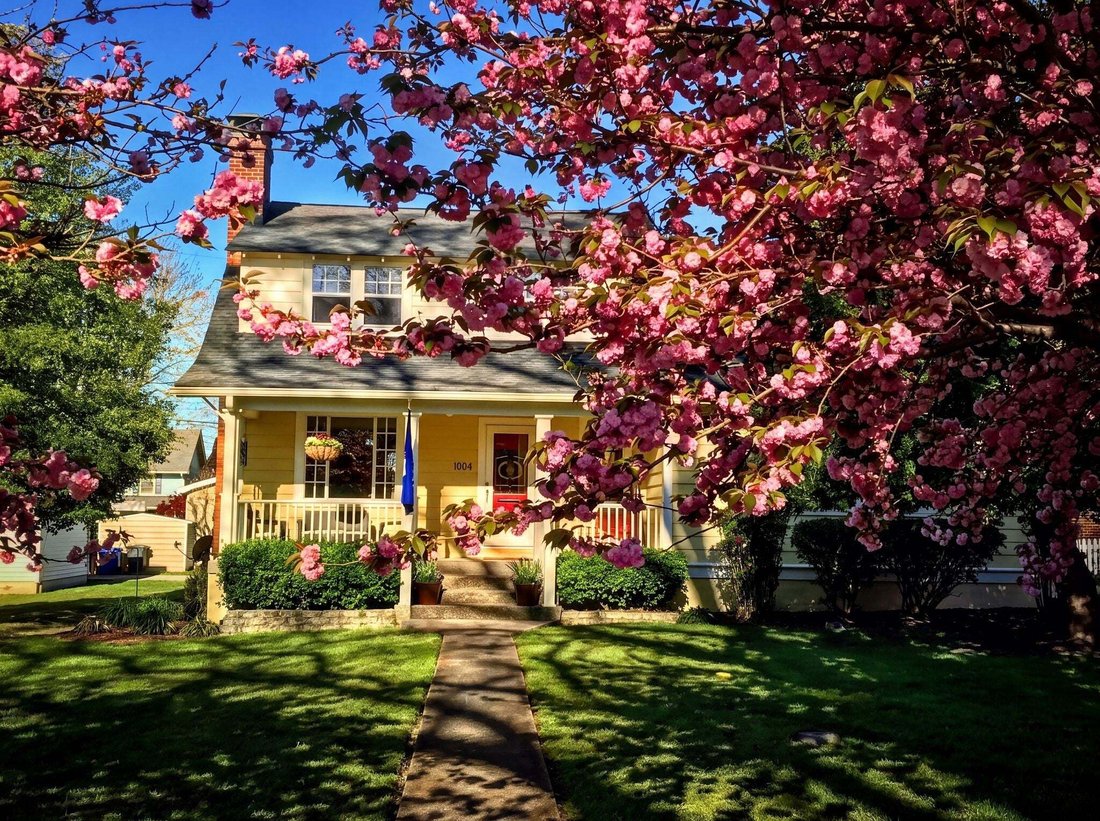 House in Nashville, Tennessee, United States 2 - 19009352