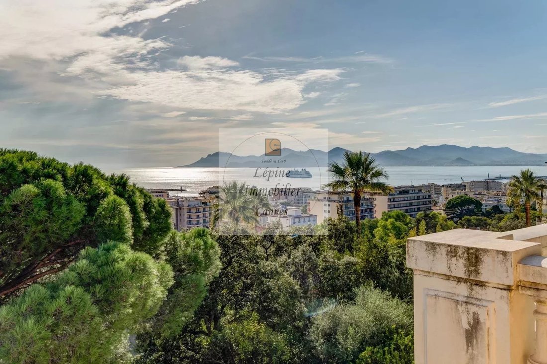 Apartment in Cannes, Provence-Alpes-Côte d'Azur, France 3 - 17094513