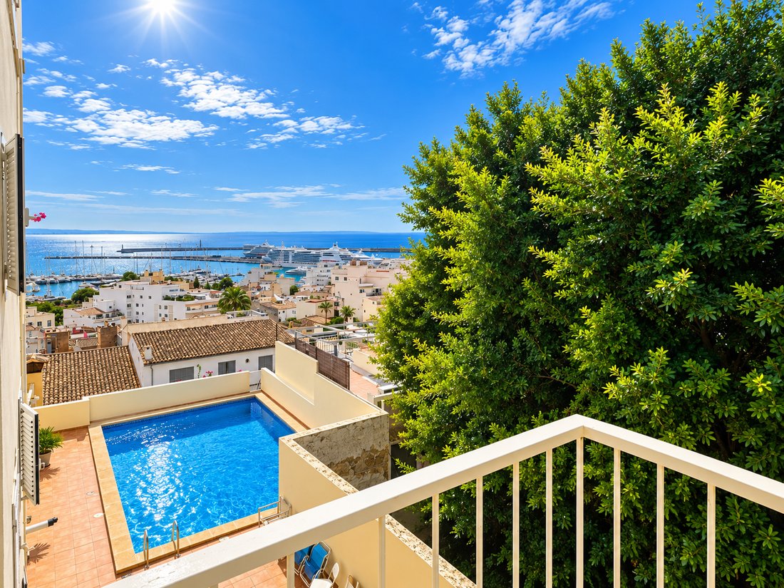 Apartment in Palma, Balearic Islands, Spain 1 - 19012989