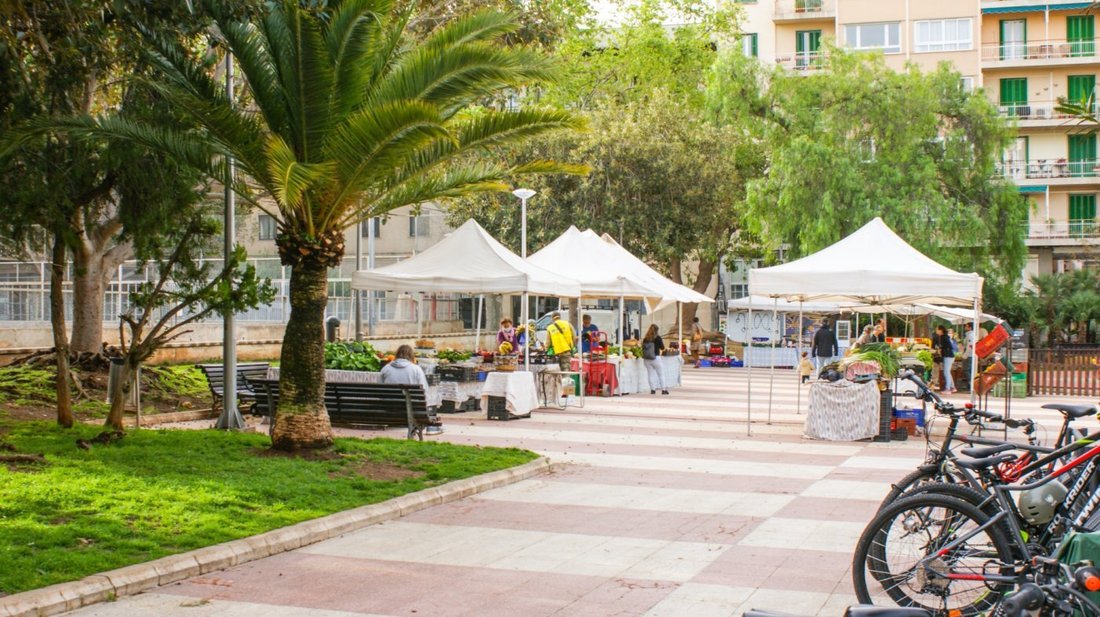 Apartment in Palma, Balearic Islands, Spain 4 - 19013065