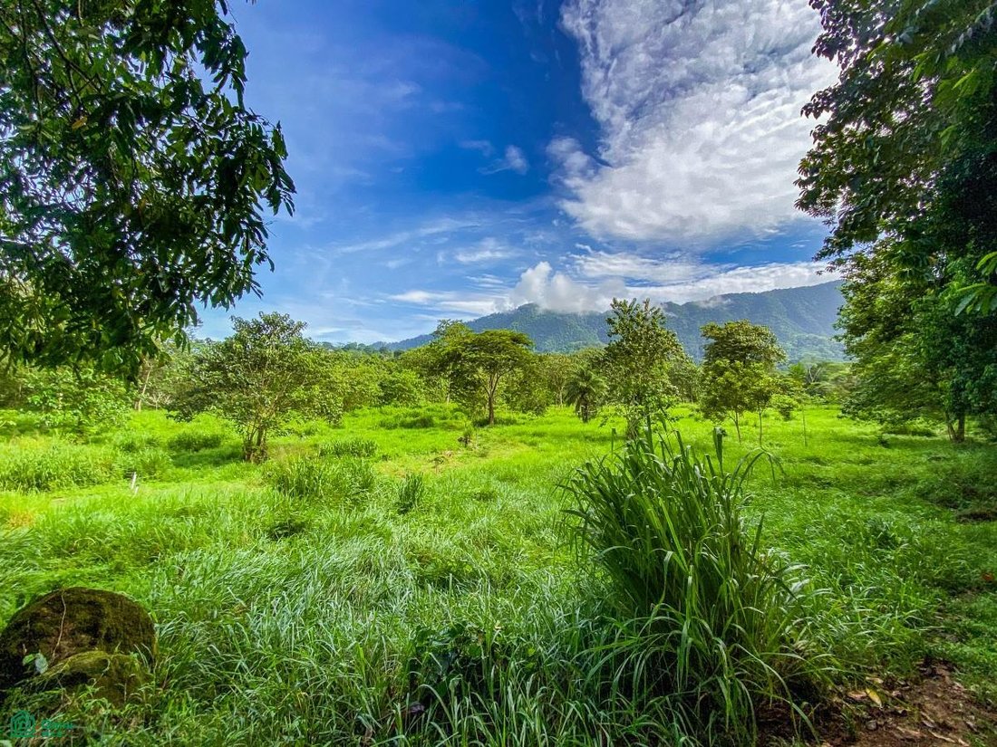 Land in Ojochal, Puntarenas Province, Costa Rica 2 - 19012964